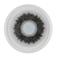 Churchill Studio Prints Fusion Black Walled Plates 210mm (6 Pack)