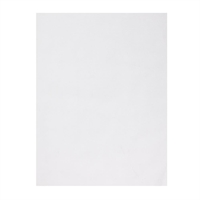 Fiesta Compostable Burger Wraps White 250x350mm (200 Pack)