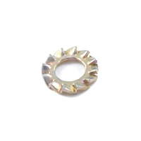 Santos Juice Extractor Washer