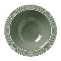 Steelite Concorde Oatmeal Bowls Fern 165mm (12 Pack)