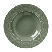 Steelite Concorde Rim Soup Plates Fern 240mm (12 Pack)