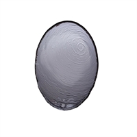 Steelite Scape Glasses Smoked Oval Bowls 300mm (6 Pack)