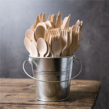 Wooden and Plastic Cutlery Wooden and Plastic Cutlery Category