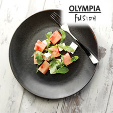 Fusion Fusion Category