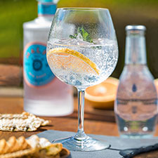 Gin Glasses Category