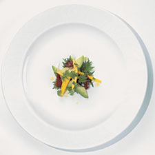 Jardin Jardin Category