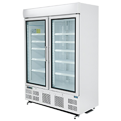 Display Freezers Display Freezers Category
