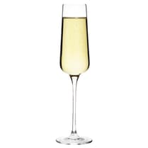 Olympia Champagne Glasses