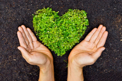 Switching To Eco-Friendly Cleaning Products Is A Great Way To Reduce Your Environmental Impact