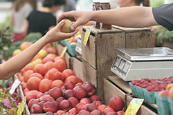 A Customer Buying Locally Sourced, Organic Ingredients At A Farmers' Market