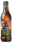 A bottle of Nanny State alcohol free beer with the green label, by Brewdog