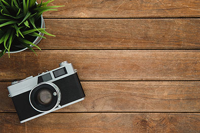 old film camera and a plant on a wooden table top