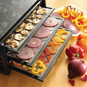 Excalibur Dehydrator