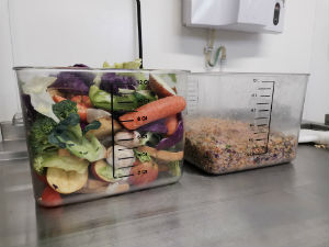 Example of before and after WasteStation processing