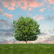 How to Be An Eco-Friendly Catering Business