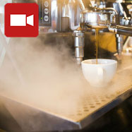 How to Steam and Froth Milk