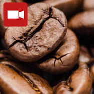 Case Study, Santos Coffee Grinders
