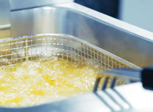 Buying a Fryer