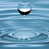 What is Third Wave Water?