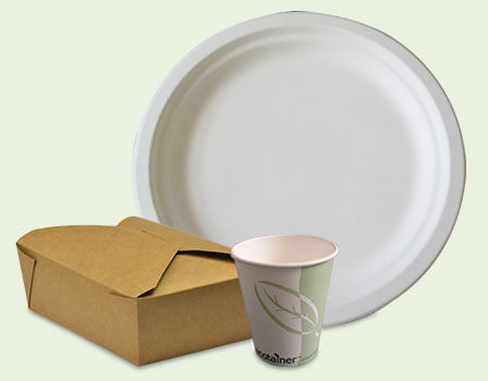 Eco-Friendly Disposables
