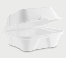Bagass Burger Box