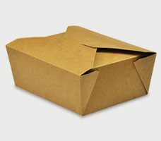 Paperboard Food Carton