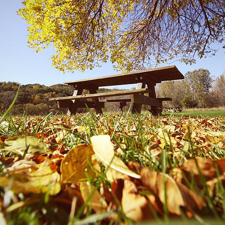 Buying a Picnic Bench