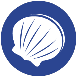 Molluscs