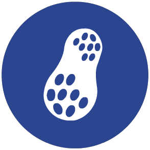 Peanuts