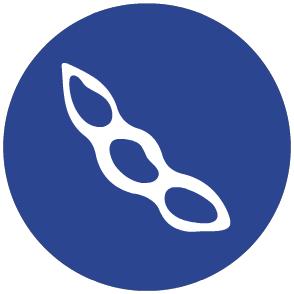 Soya