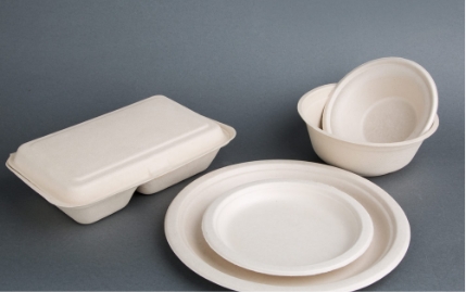 Set of Bagasse crockery on grey background