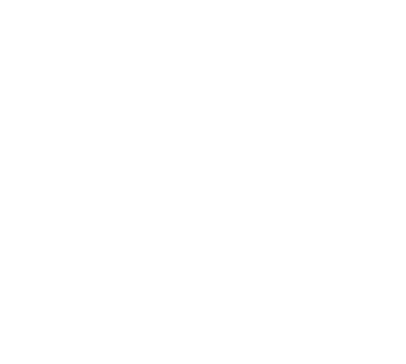 Temperature Consistant Icon