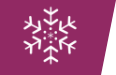 Temperature icon